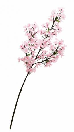 [店舗装飾品]　小桜ブランチの商品画像