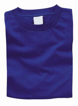 カラーTシャツS032ロイヤルブルー　※個人宅配送不可の商品画像