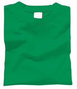 カラーTシャツS025グリーン　※個人宅配送不可の商品画像