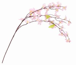 [店舗装飾品] ミニシダレ桜の商品画像