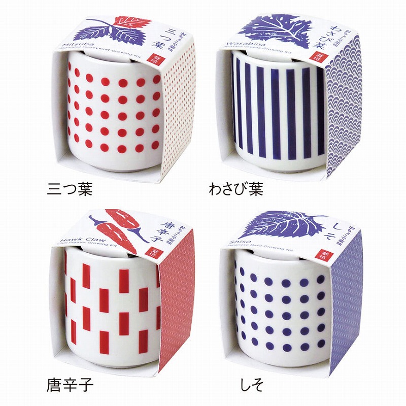おちょこで薬味栽培キット わさび菜 ガーデニング 花の種 植物 お店がどっとこむ ノベルティ 景品 1dw