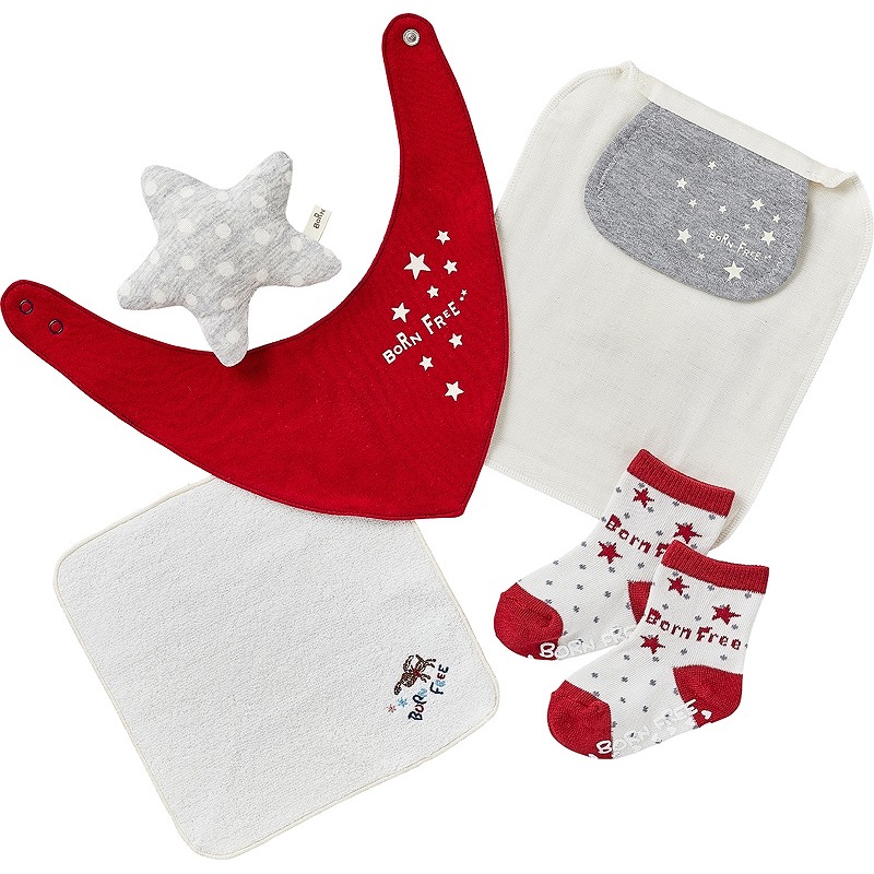 ボーンフリー ウィッシュ きらきら星セット カタログギフト お店がどっとこむ 記念品 まとめ買いの見積歓迎 1lr