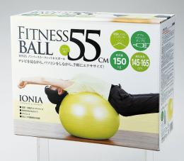 フィットネスボール55cmの商品画像