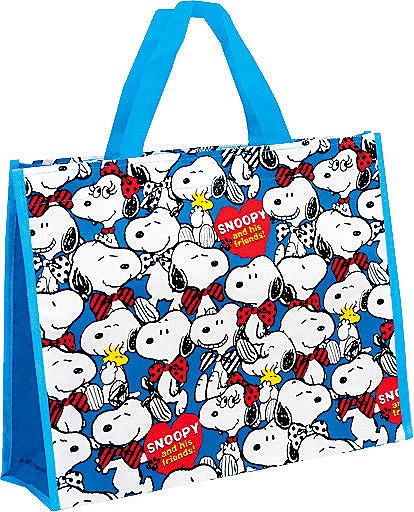 キャラクターレッスンバッグ横型 Sp キャラクターバッグ ポーチ お店がどっとこむ 粗品 名入れ 2rm