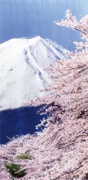 [店舗装飾品] タペストリー(防炎)富士桜の商品画像