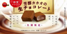 ブルボン 粉雪ショコラ 芳醇カカオの生チョコレートの商品画像