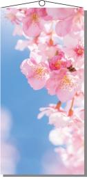 タペストリー(防炎)桜花びらの商品画像