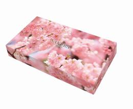 さくらティッシュ(40組枚入)の商品画像