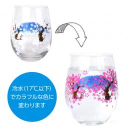 冷感グラス富士桜の商品画像