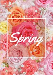 [店舗装飾品] A1ポスターバラの商品画像