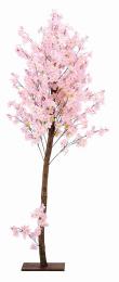 [店舗装飾品] 天然木桜スタンドの商品画像