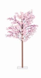 桜立木セットの商品画像