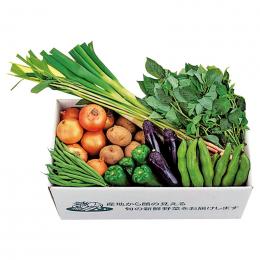 千葉県産 旬の有機野菜セットの商品画像