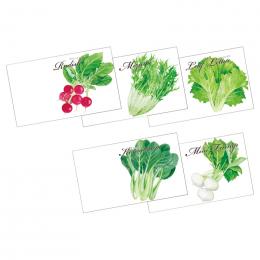 横型イラスト種子(1P)　野菜の種子の商品画像