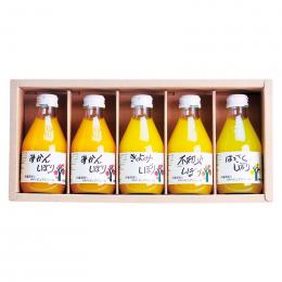 伊藤農園 100%ピュアジュース5本ギフトセットの商品画像