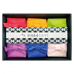 初代田蔵 新潟県産こしひかり・笹川流れ極塩ギフトセットの商品画像