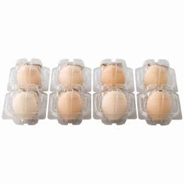 北坂たまご　たまごまるごとプリンの商品画像