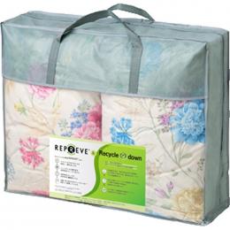 サスティナブル羽毛肌布団2Pの商品画像