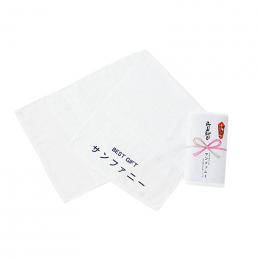 国産純白ソフトタオル200型の商品画像