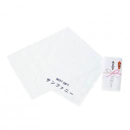 国産純白ソフトタオル220型の商品画像