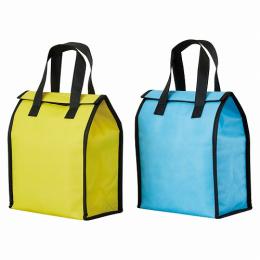 600mlボトルが6本入る保冷温バッグ(1P)の商品画像