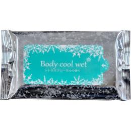 [4色名入れ込] Body cool Wet 10枚入の商品画像