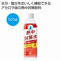 天塩使用 熱中対策水 アセロラ500mlの商品画像