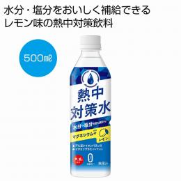 天塩使用 熱中対策水 レモン500mlの商品画像