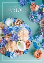 ヴァリアス[ローマ]の商品画像