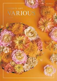 ヴァリアス[キングストン]の商品画像