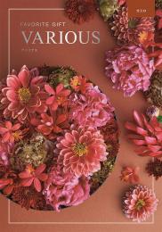 ヴァリアス[オスロ]の商品画像