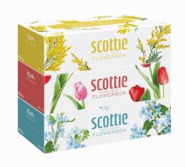 スコッティティシューフラワー250W3個組の商品画像