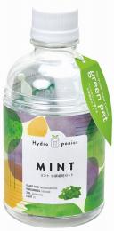 グリーンペット1個(ミント)の商品画像