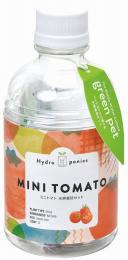 グリーンペット1個(ミニトマト)の商品画像