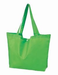 Ecolor 折りたたみビッグバッグ(グリーン)の商品画像