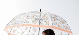 リリウム/ドーム型ジャンプ傘の商品画像