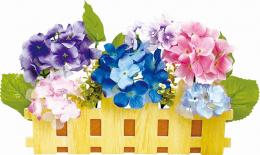 [店舗装飾品]華やかアジサイ垣根の商品画像