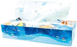 夏柄BOXティッシュ120W サマーオーシャンの商品画像