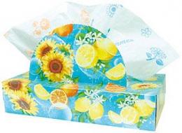 夏柄BOXティッシュ120W ビタミンサマーの商品画像