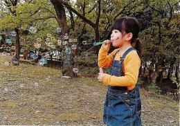 忍者超連続しゃぼん玉NEO(12入)の商品画像