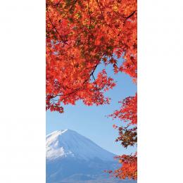 [店舗装飾品]　タペストリー(防炎)富士紅葉の商品画像