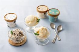 弘乳舎 九州そだちアイスクリーム11個の商品画像