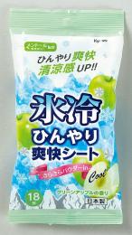 氷冷ひんやり爽快シート18枚入 グリーンアップルの商品画像