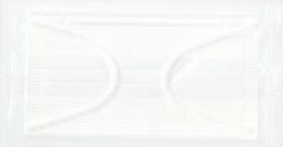 テルコ/花柄抗菌マスクケース(個包装マスク1枚入)の商品画像