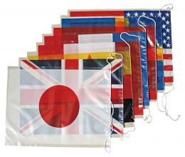 [店舗装飾品] ビニール万国旗<大>8カ国の商品画像