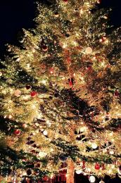 クリスマスタペストリー ホーリーナイトツリーの商品画像