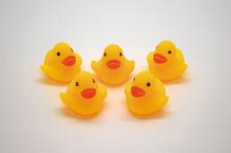 うきうきアヒル小の商品画像