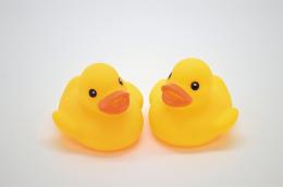 うきうきアヒル大の商品画像