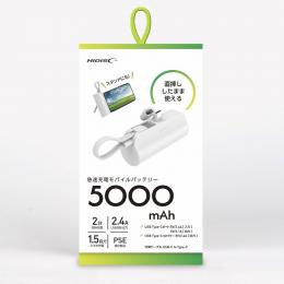 直挿し 5000mAhの商品画像