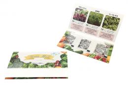 グリーンメール種子3個セット(野菜)の商品画像